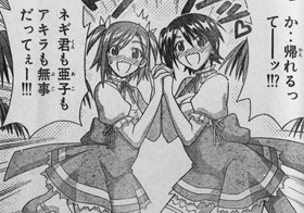 071205negi.jpg