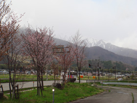 DSC00461.jpg
