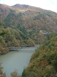 DSC01019.jpg