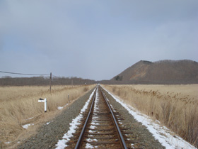 DSC01960.jpg