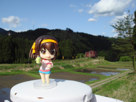 DSC02174.jpg