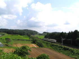 IMG_1872.jpg