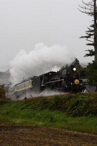 IMG_8457.jpg