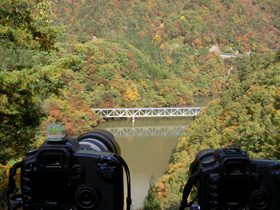 SANY0007.jpg